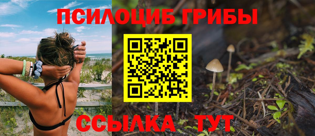 Псилоцибиновые грибы прущие грибы Ульяновск
